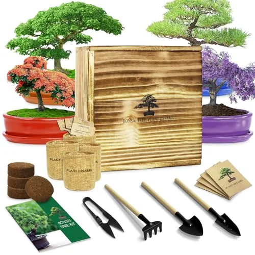 Indoor Live Plant Gardening Adult Craft Diy