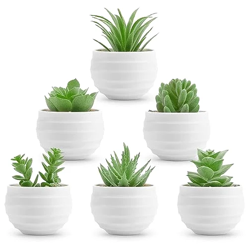 Mini Fake Succulent Plants in White Pots