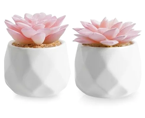 Mini Succulents Plants Artificial in Pots-Pink