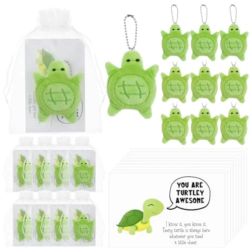 Positive Turtle Gift Employee Inspirational Turtle Plush