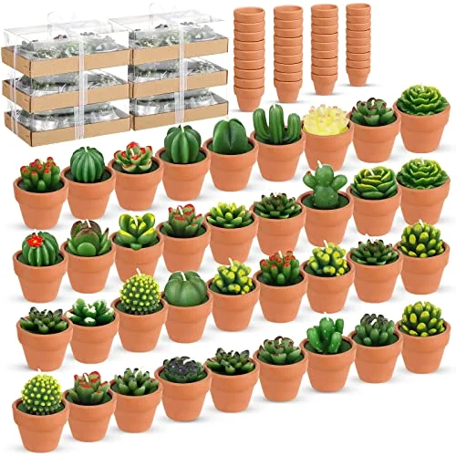 Succulent Cactus Tealight Candles, 36-pack